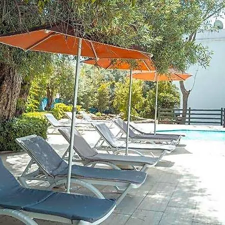 Atrium 3*